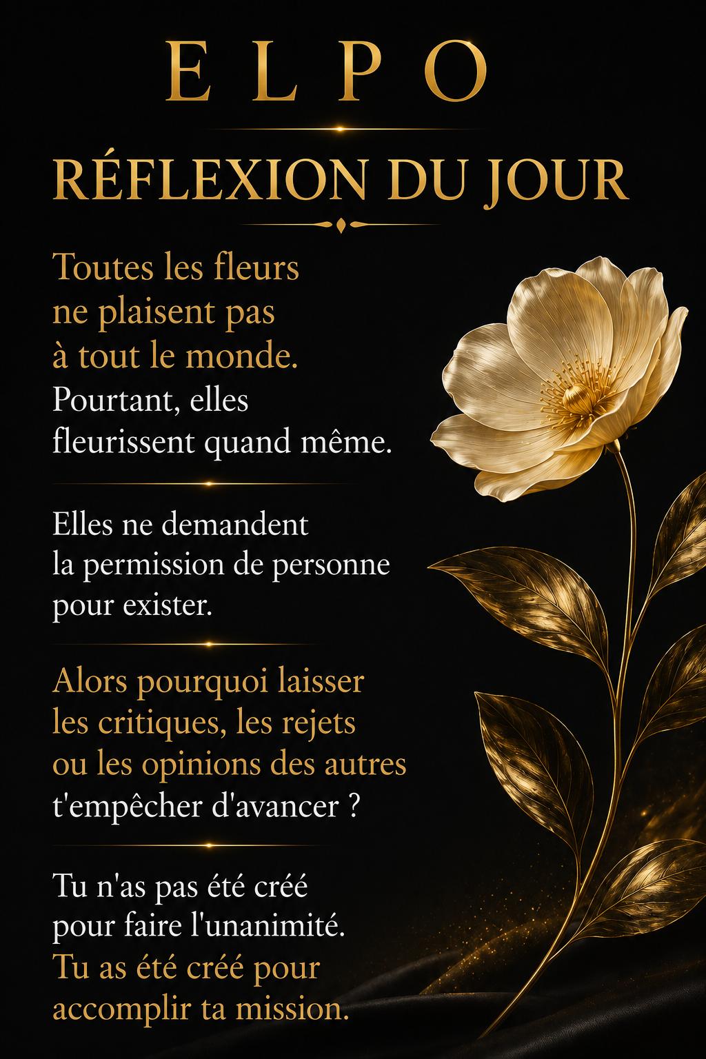 Parcours Transformation | Accompagnement prémium (6 séances)